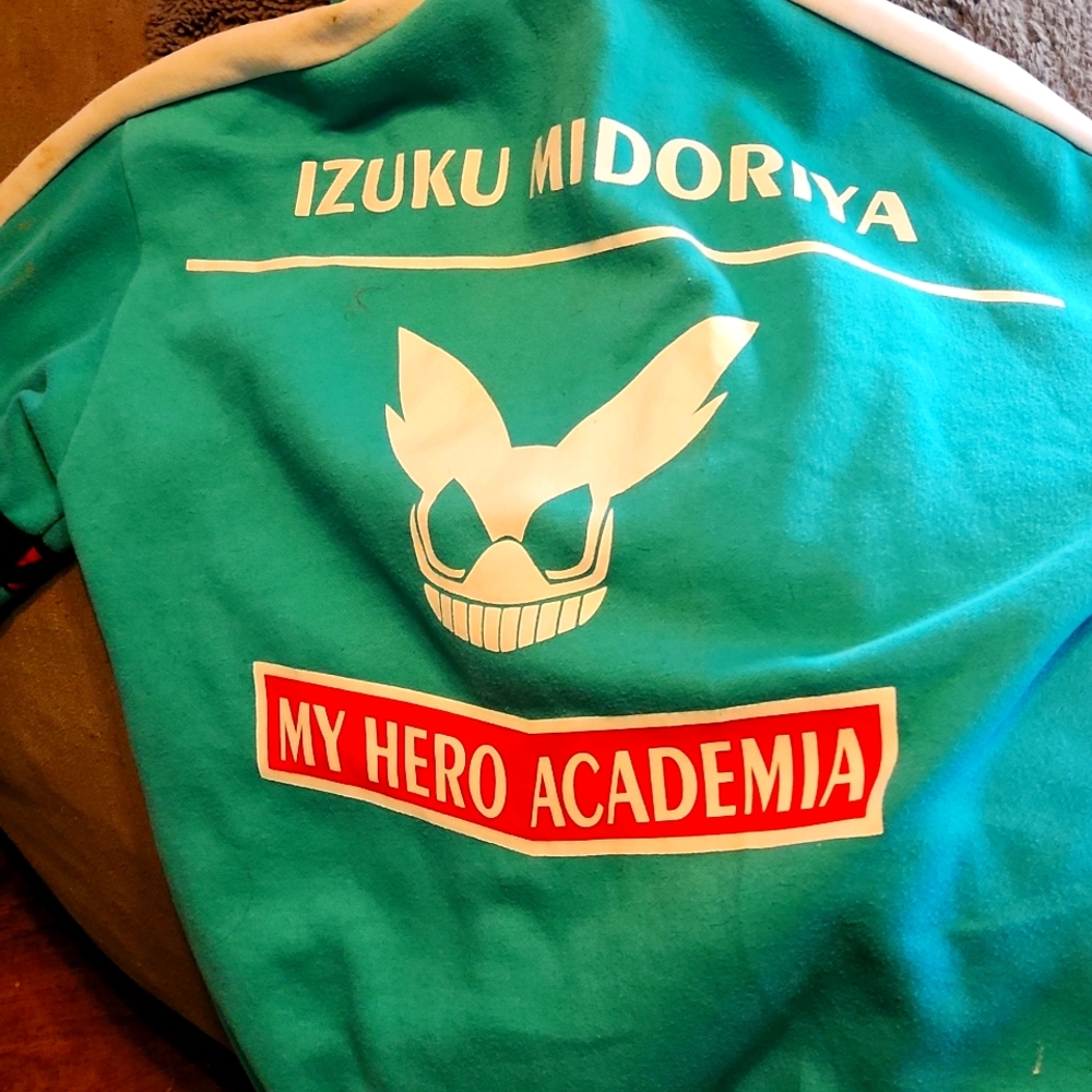 Anime hoodie.  Thick.  Great quality.